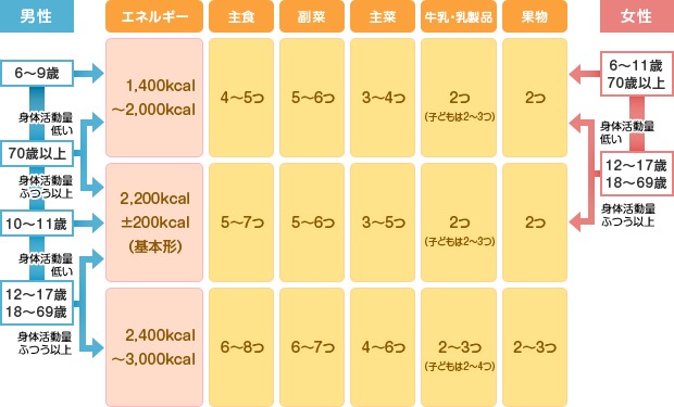 農林水産省｜摂取カロリーの目安